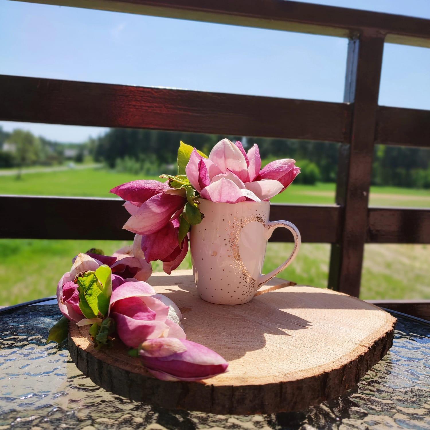 Jurajskie Pokoje Pod Lasem Bobolice  Exteriér fotografie
