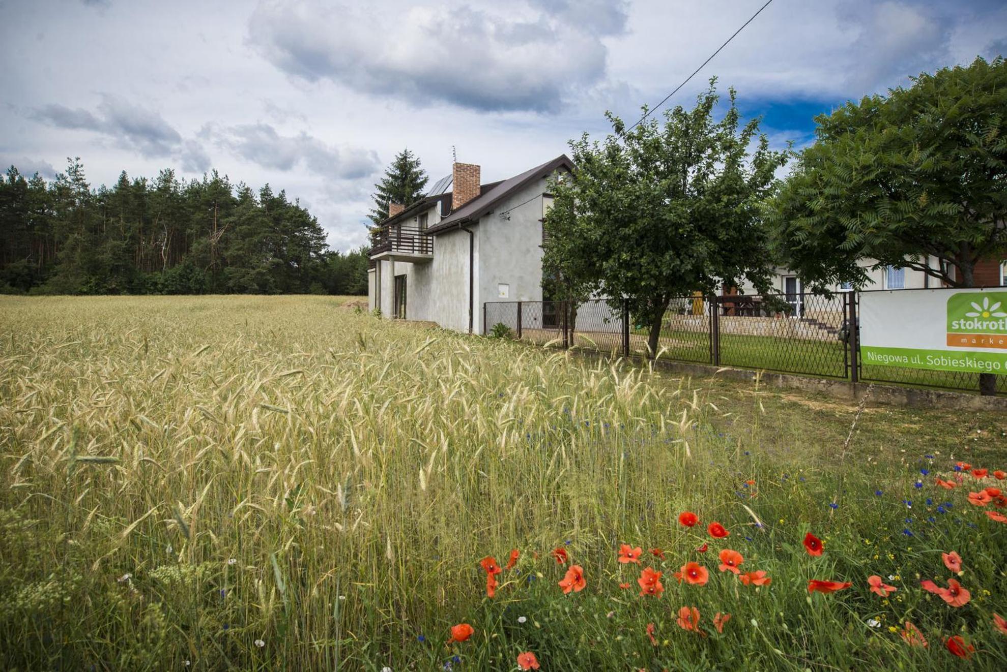 Jurajskie Pokoje Pod Lasem Bobolice  Exteriér fotografie